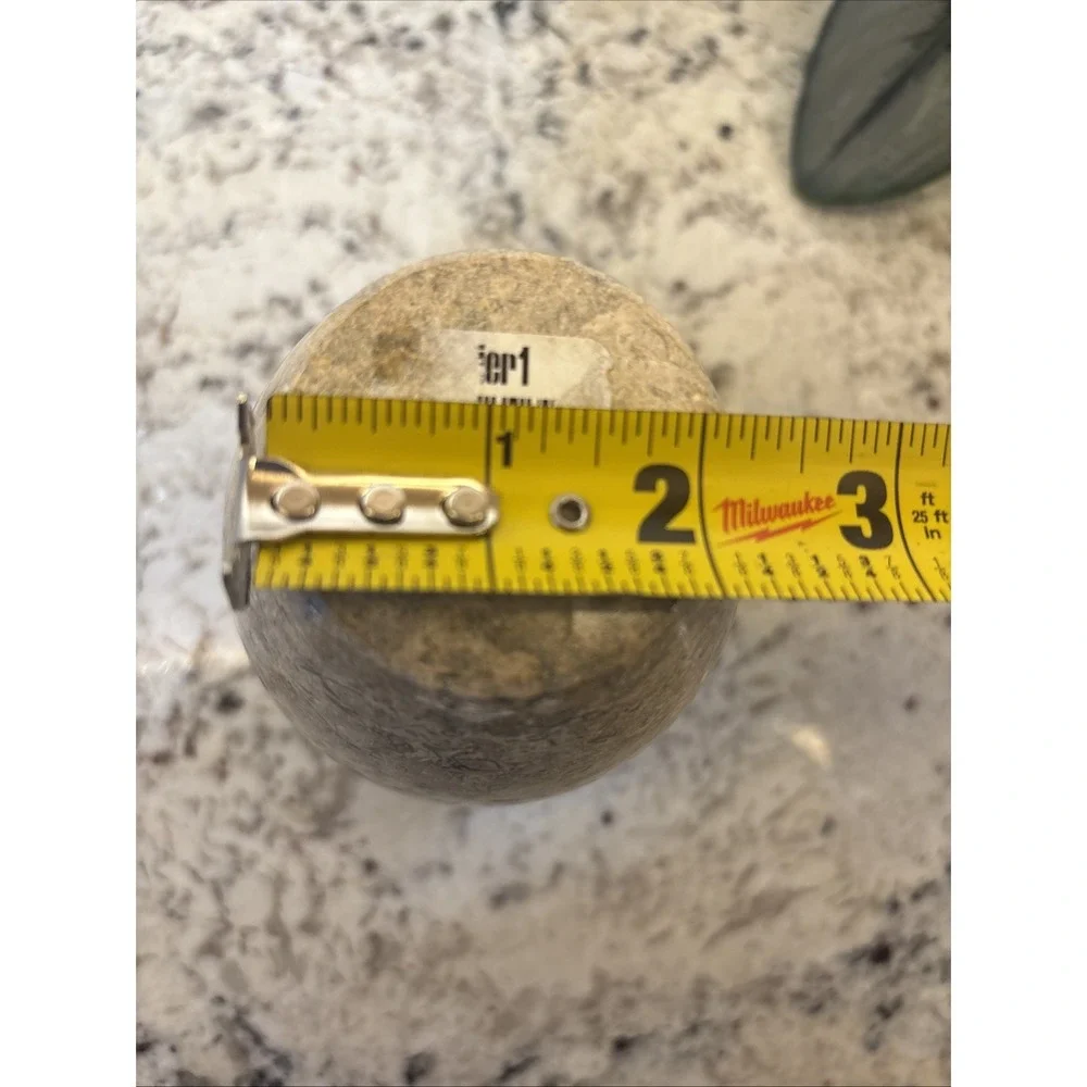 Pier One Tan Solid Stone Vase Fossilized Architectural Decor Office Brutalist‎